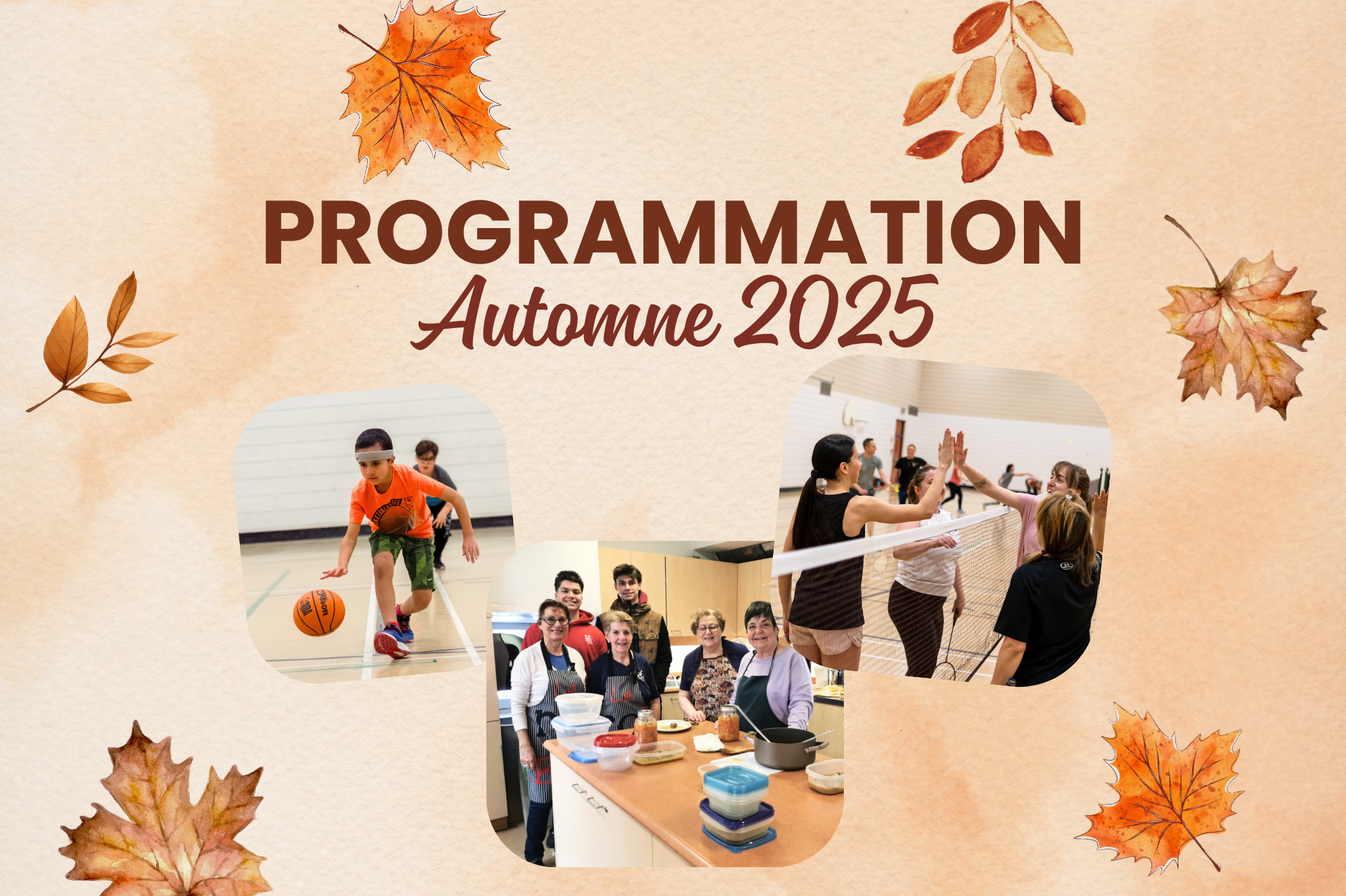 Tuiles - Archives de la programmation (2)